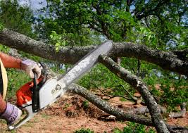 Lawn Watering Services in Staunton, VA